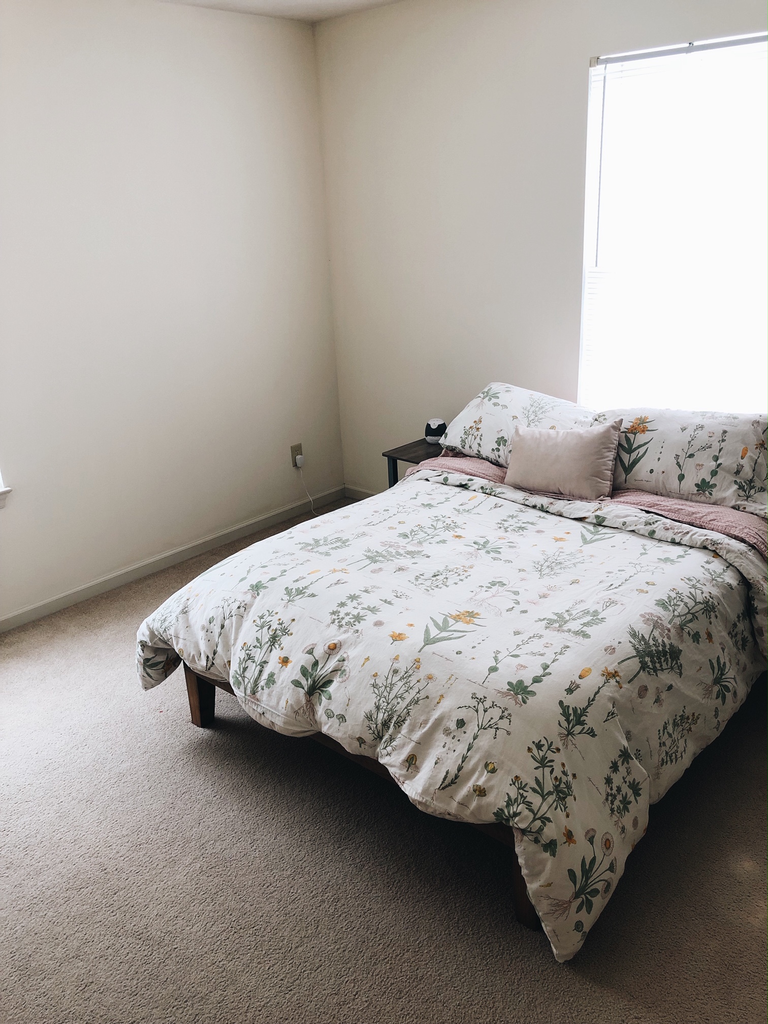 Processed with VSCO with a6 preset