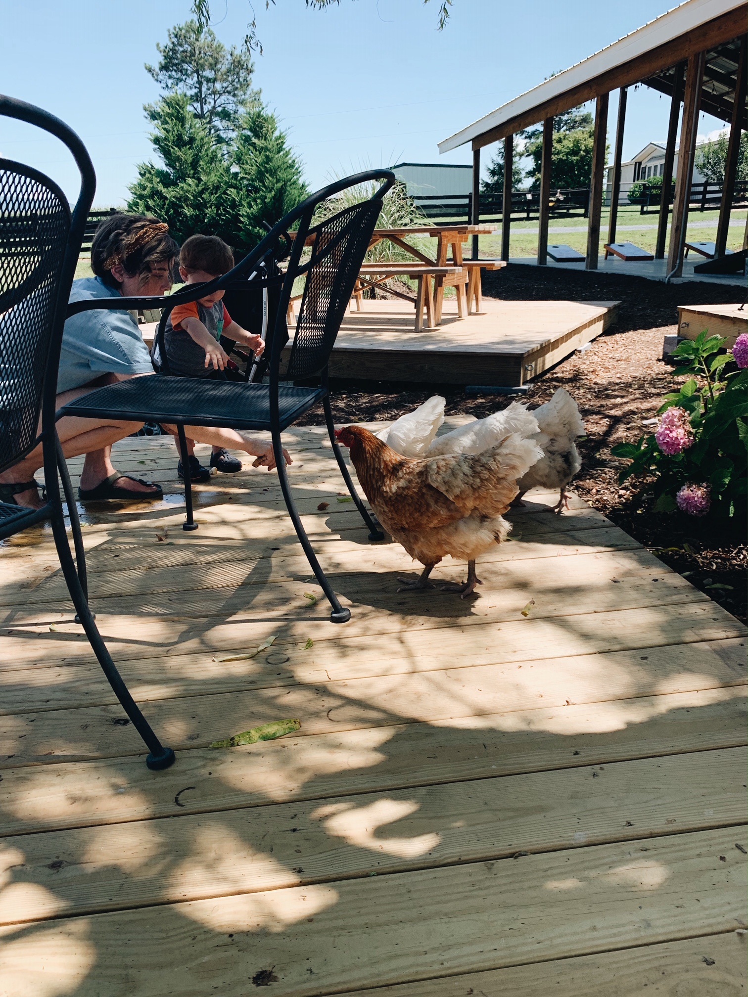 Processed with VSCO with a6 preset