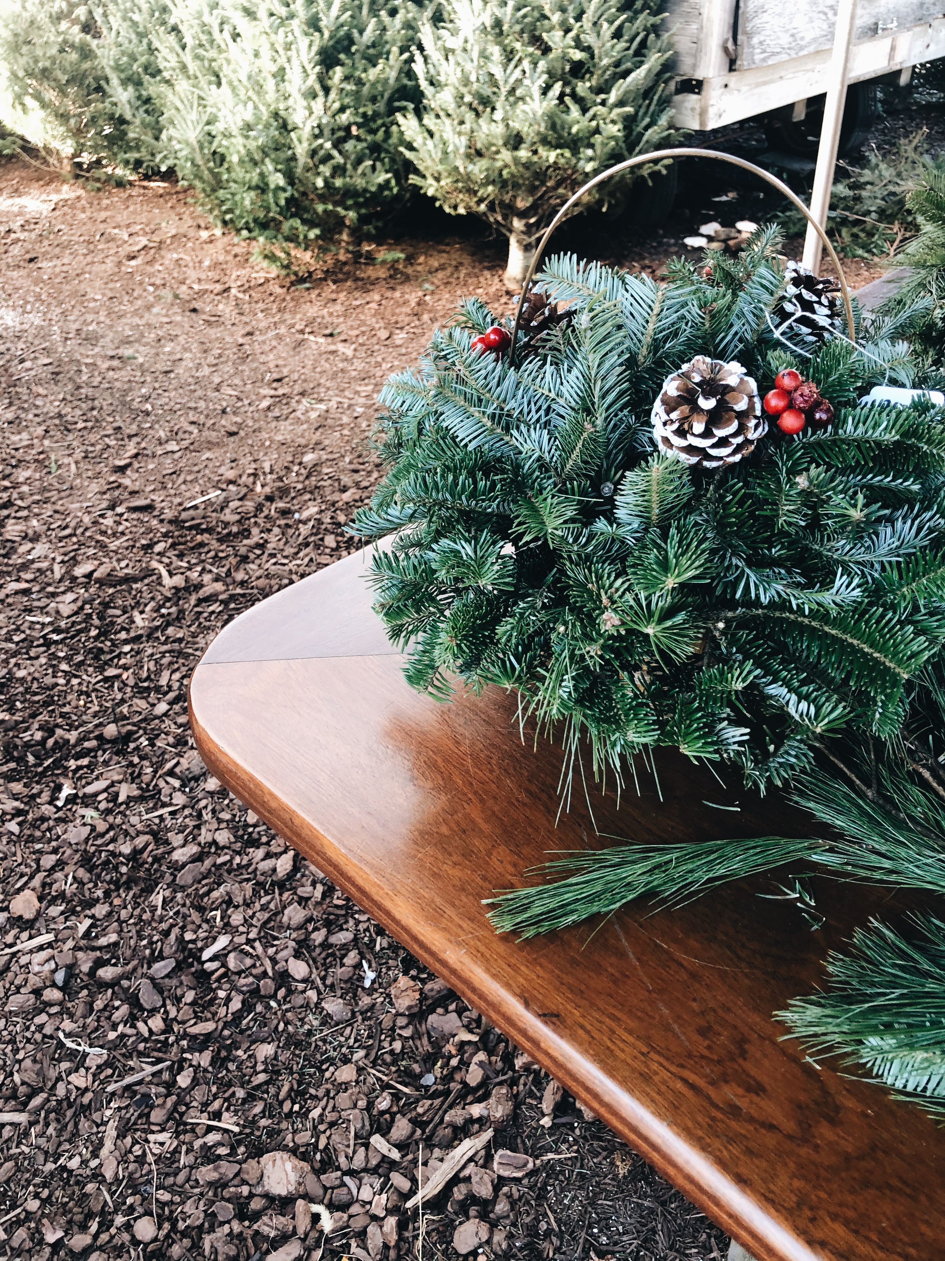 Processed with VSCO with a6 preset