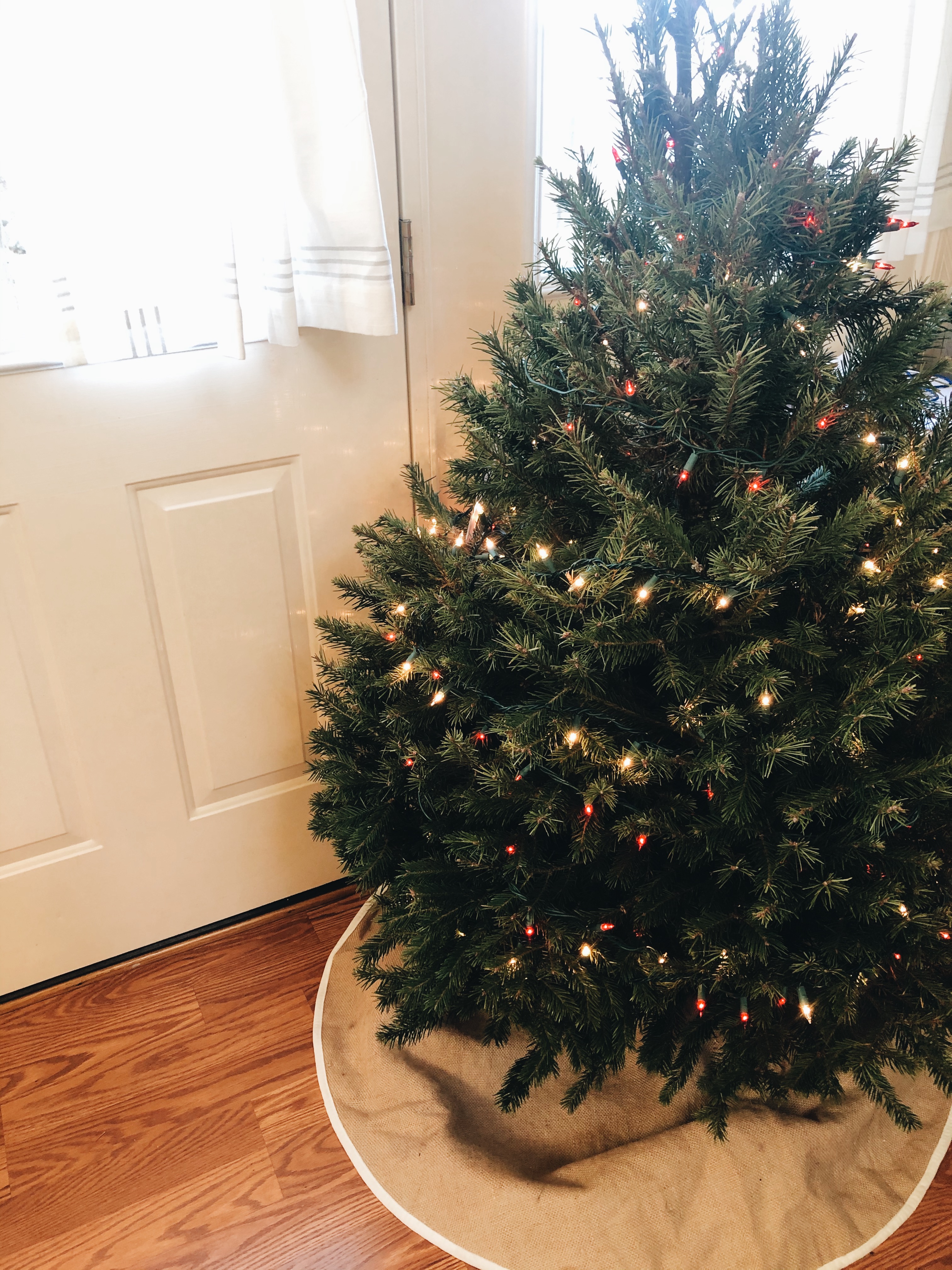 Processed with VSCO with a6 preset