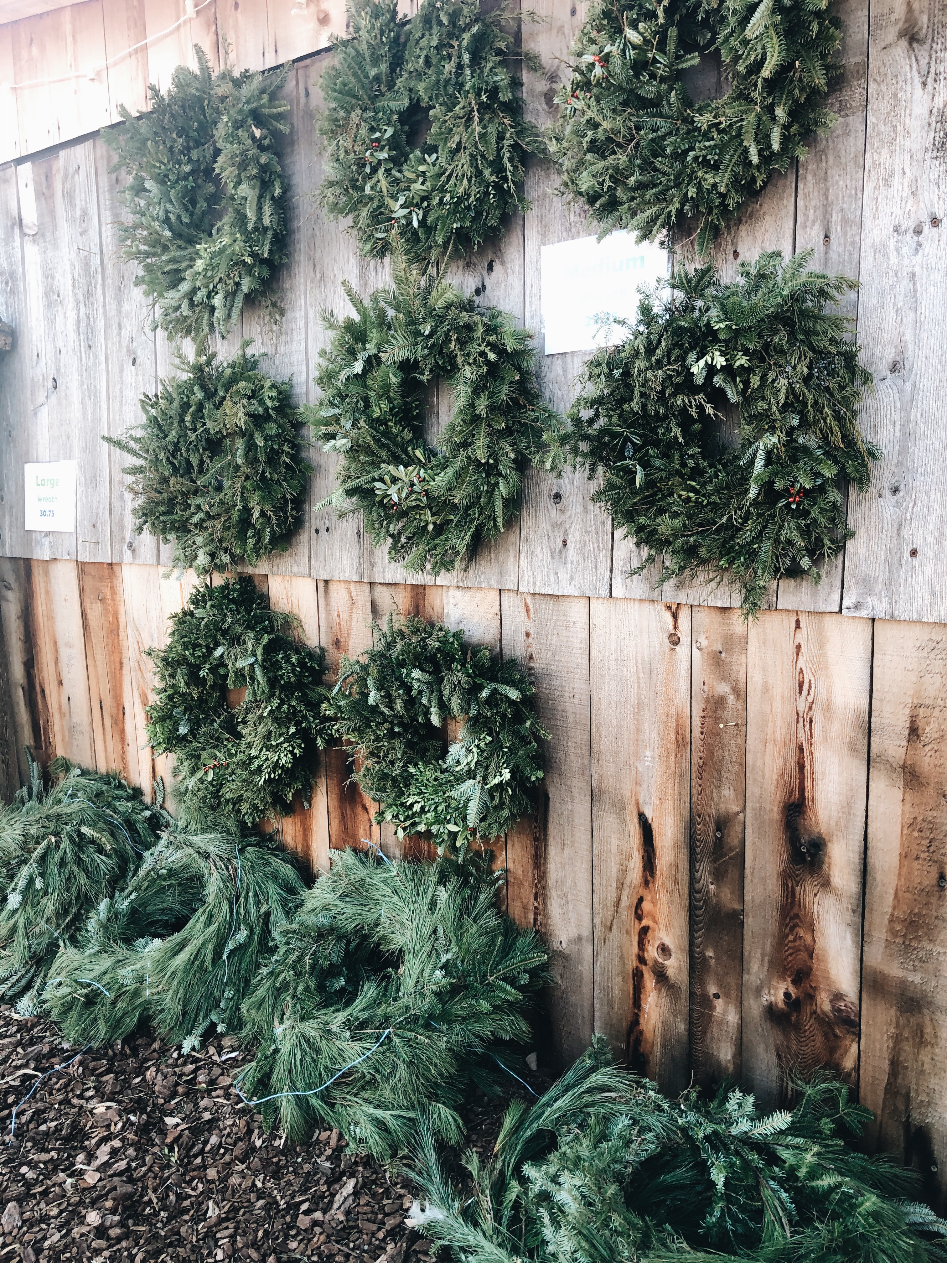 Processed with VSCO with a6 preset