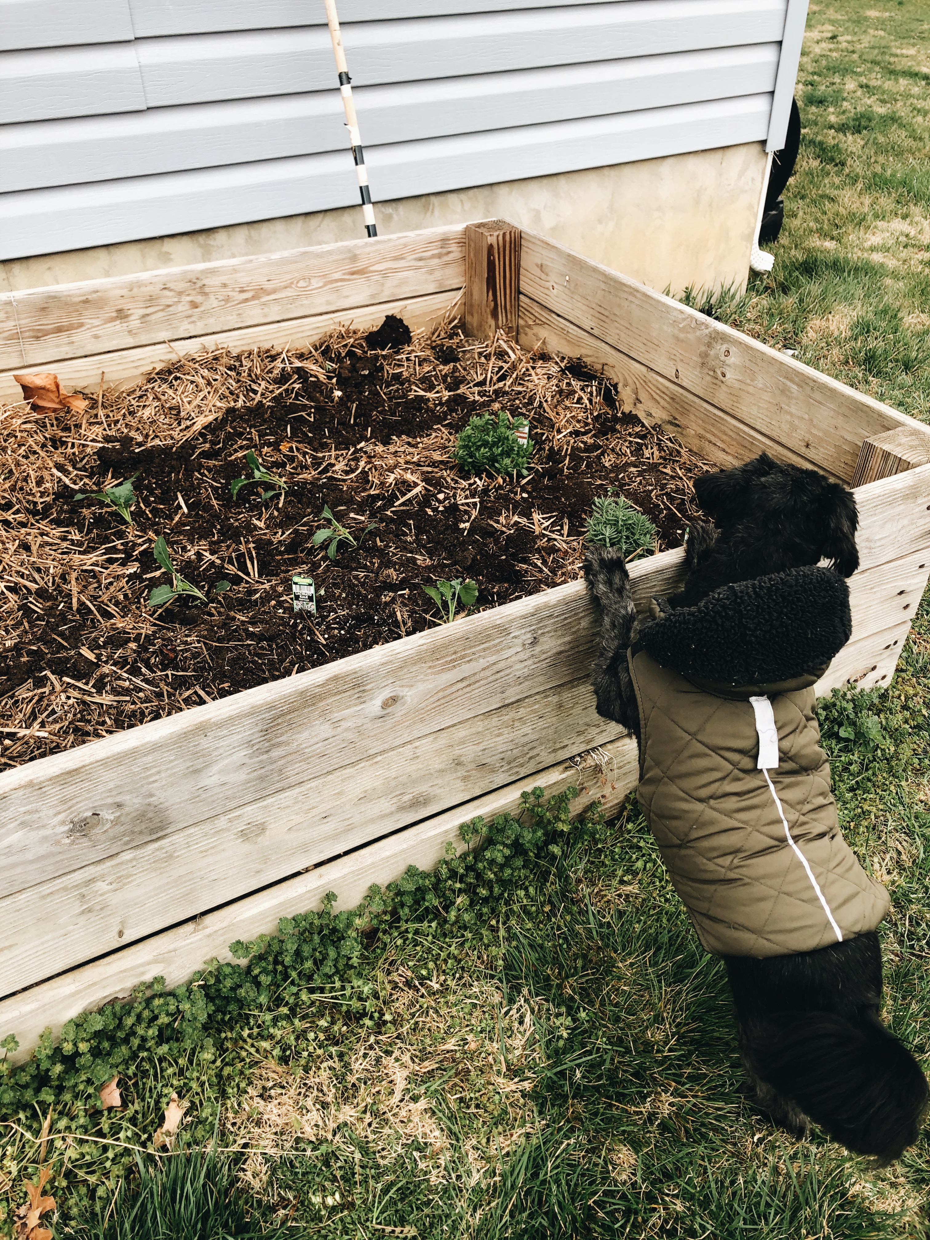 Processed with VSCO with a6 preset