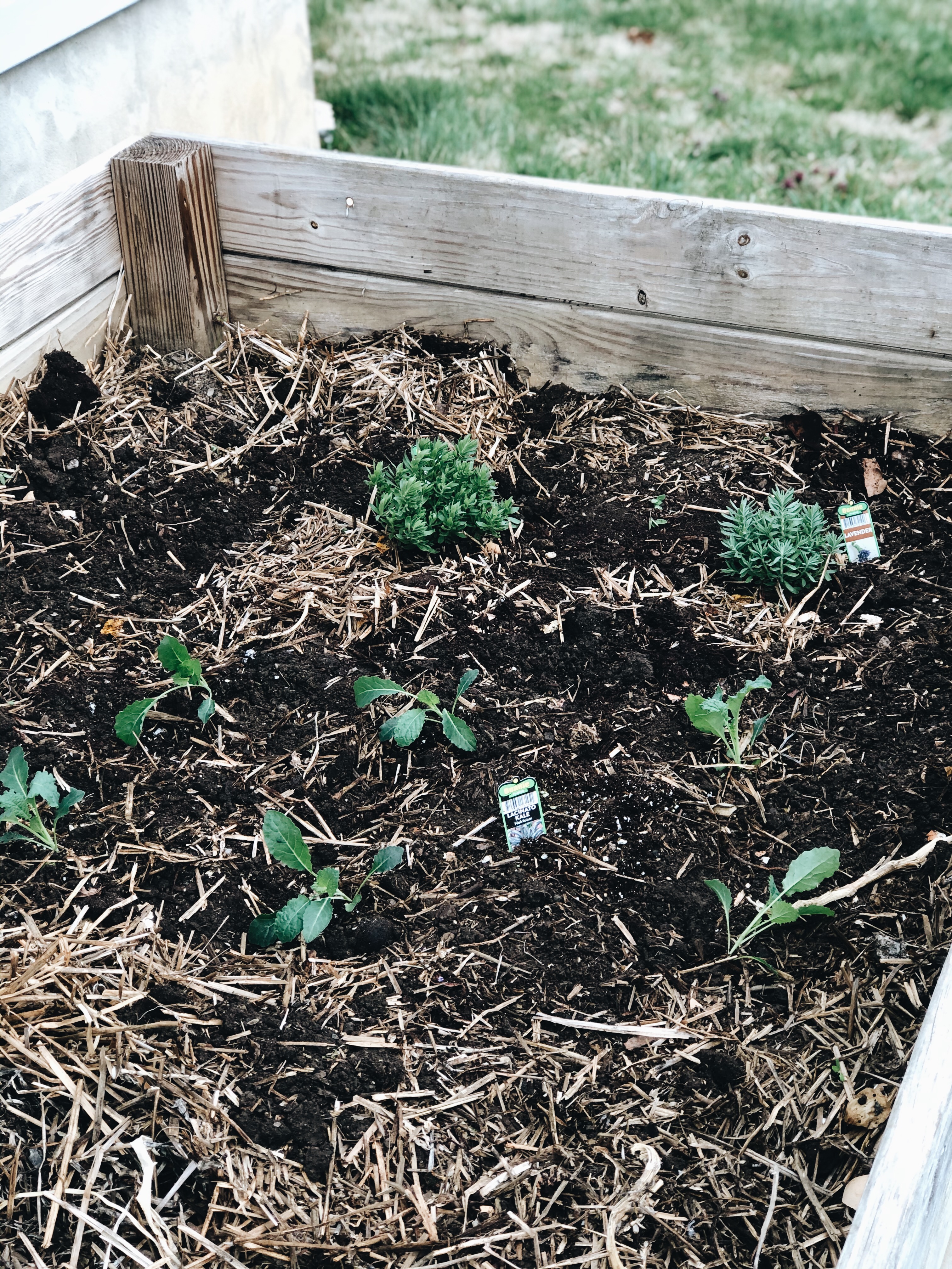 Processed with VSCO with a6 preset